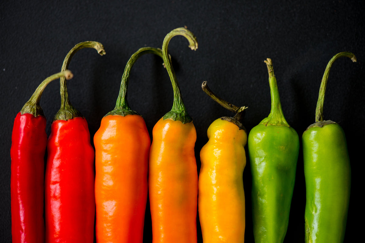 100 MIXED CAYENNE PEPPER Hot Yellow Purple Orange Red Green Capsicum Vegetable Seeds