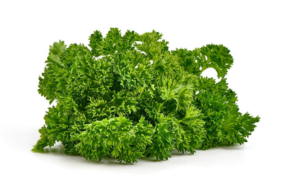 500 FOREST GREEN PARSLEY Petroselinum Crispum Double Triple Curl Vegetable Seeds