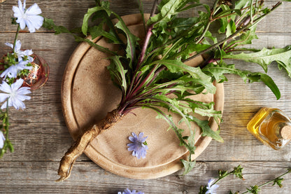 1000 CHICORY (Blue Daisy / Blue Sailors / Coffeeweed / Succory) Cichorium Intybus Flower Herb Seeds