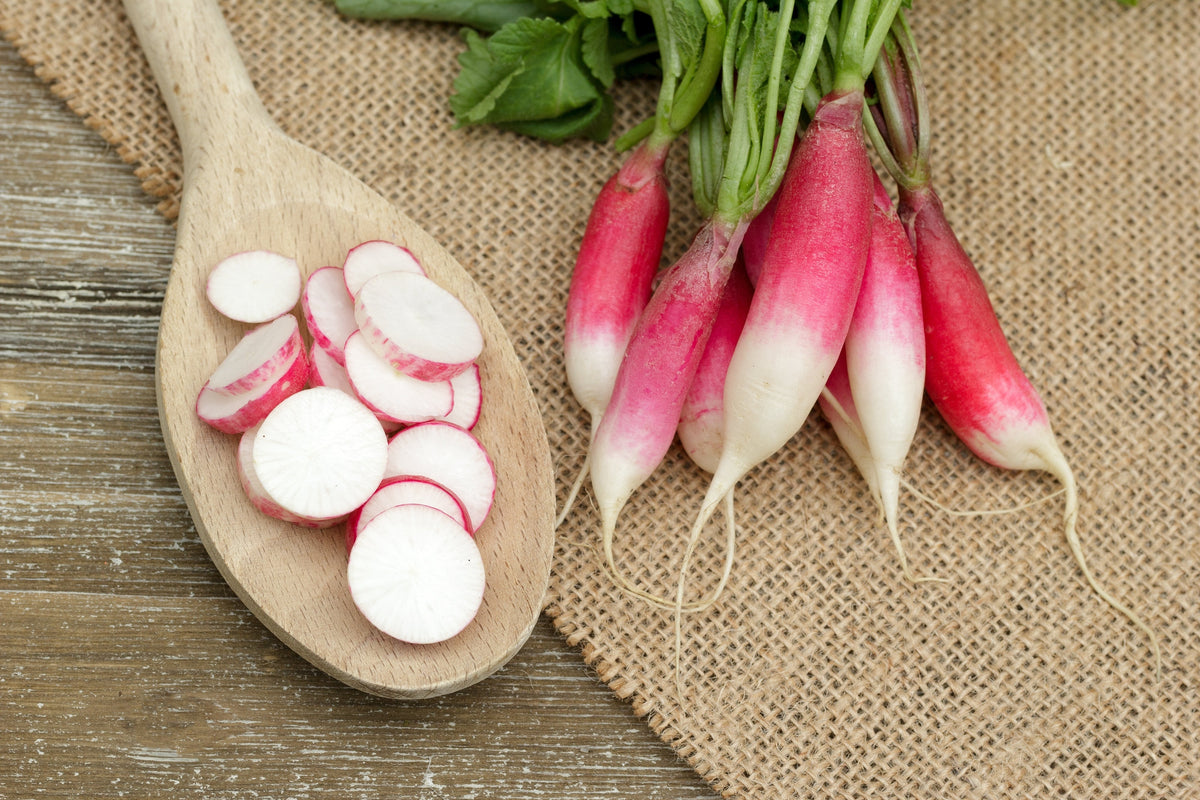 750 FRENCH BREAKFAST RADISH Raphanus Sativus Vegetable Seeds