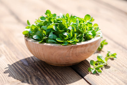 500 Dutch CORN SALAD Lambs Lettuce Valerianella Locusta Herb Vegetable Seeds
