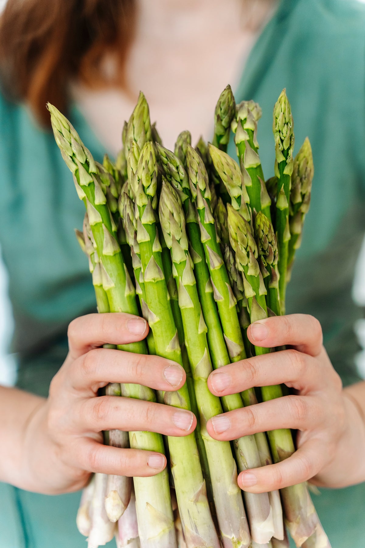 100 MARY WASHINGTON ASPARAGUS Officinalis Perennial Vegetable Seeds