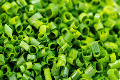 500 CHIVE Allium Schoenoprasum Vegetable Seeds
