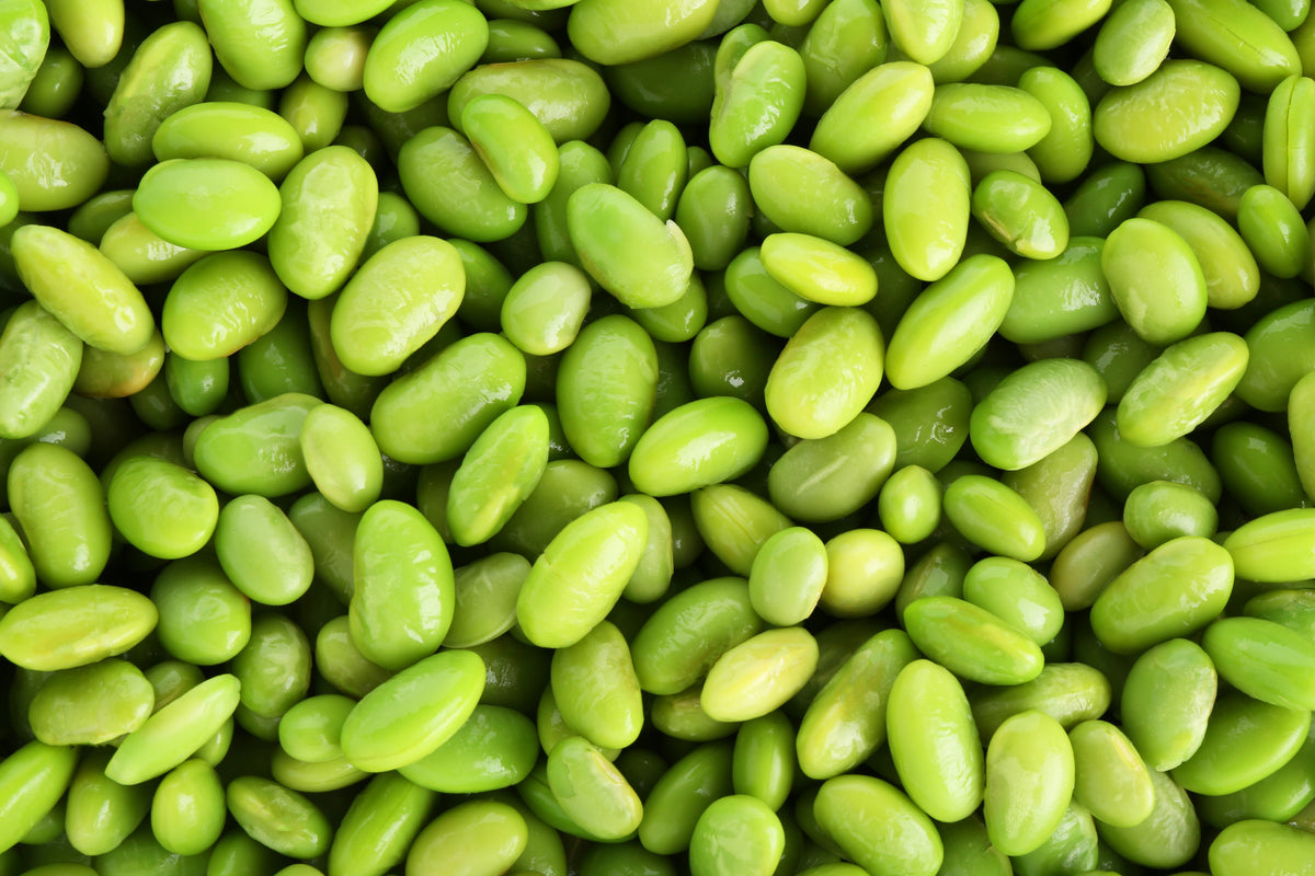 20 Edamame Green ENVY SOYBEAN Glycine Max Soy Bean Vegetable Seeds