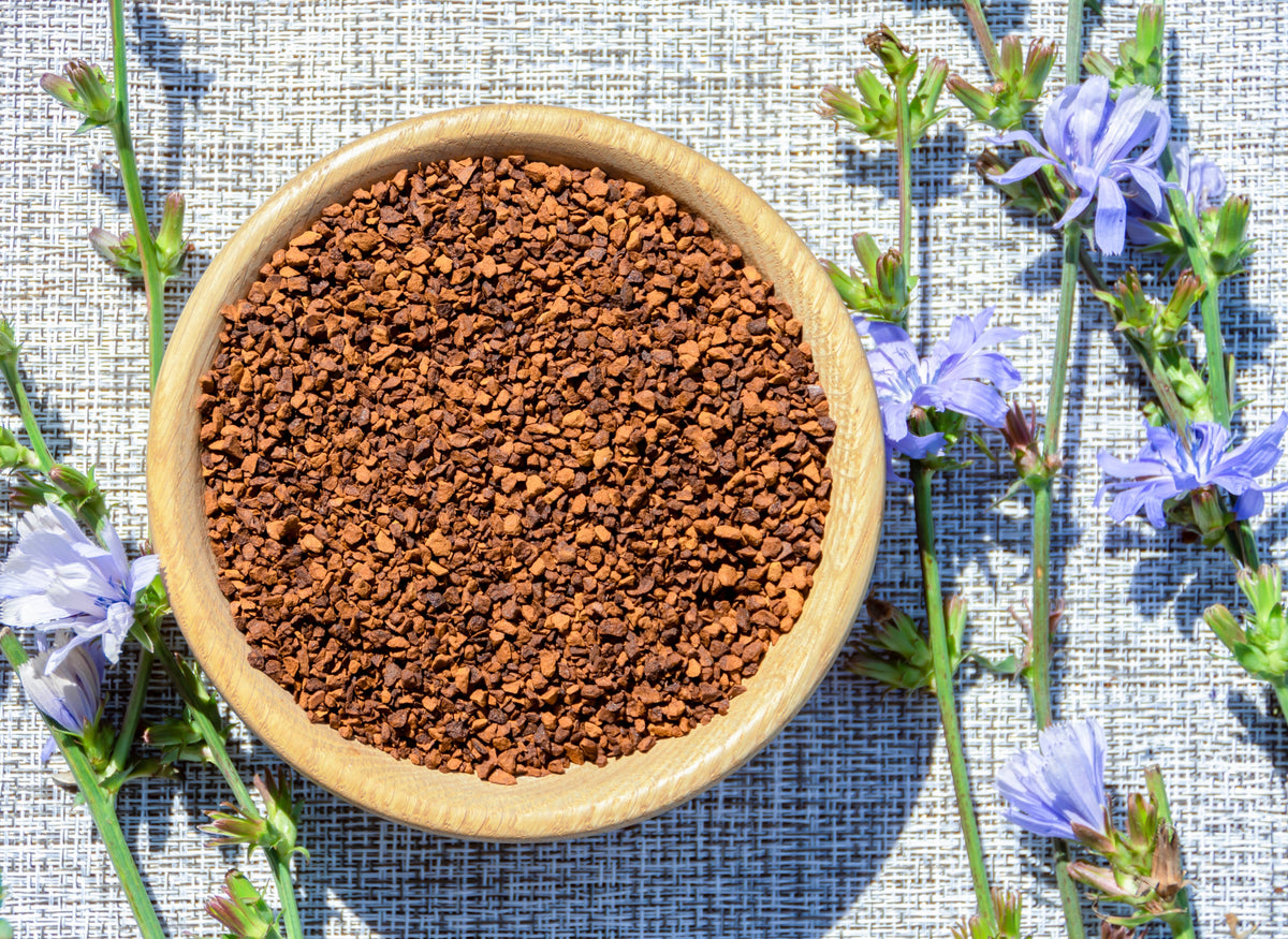 1000 CHICORY (Blue Daisy / Blue Sailors / Coffeeweed / Succory) Cichorium Intybus Flower Herb Seeds