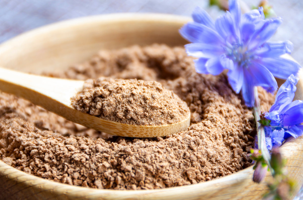 1000 CHICORY (Blue Daisy / Blue Sailors / Coffeeweed / Succory) Cichorium Intybus Flower Herb Seeds