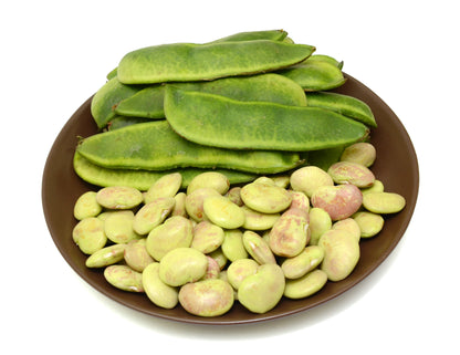 50 White DIXIE LIMA BEAN Butterpea Phaseolus Vulgaris Vegetable Seeds