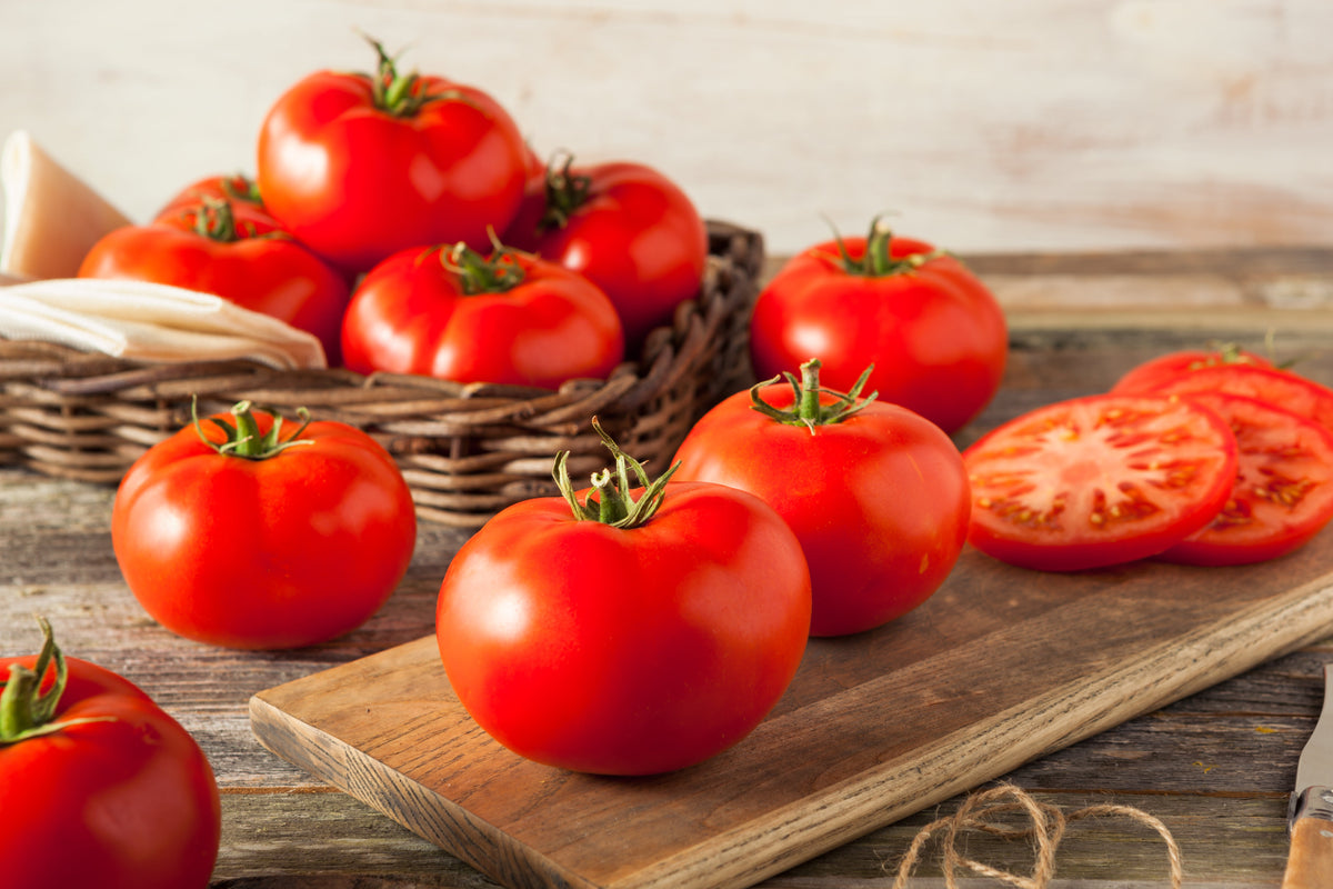 200 Red RUTGERS TOMATO Lycopersicon Globe Determinate 8 oz Fruit Vegetable Seeds