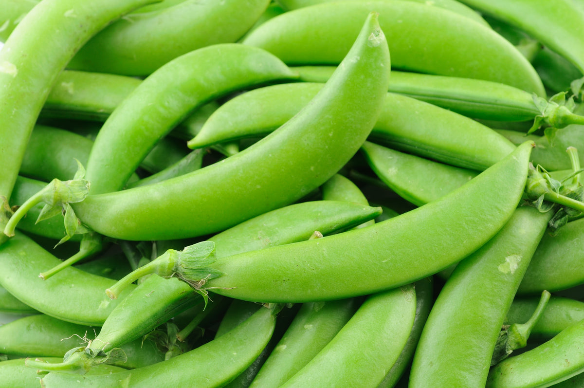 50 Super SUGAR SNAP PEA Pisum Sativum Macrocarpon Vegetable Seeds