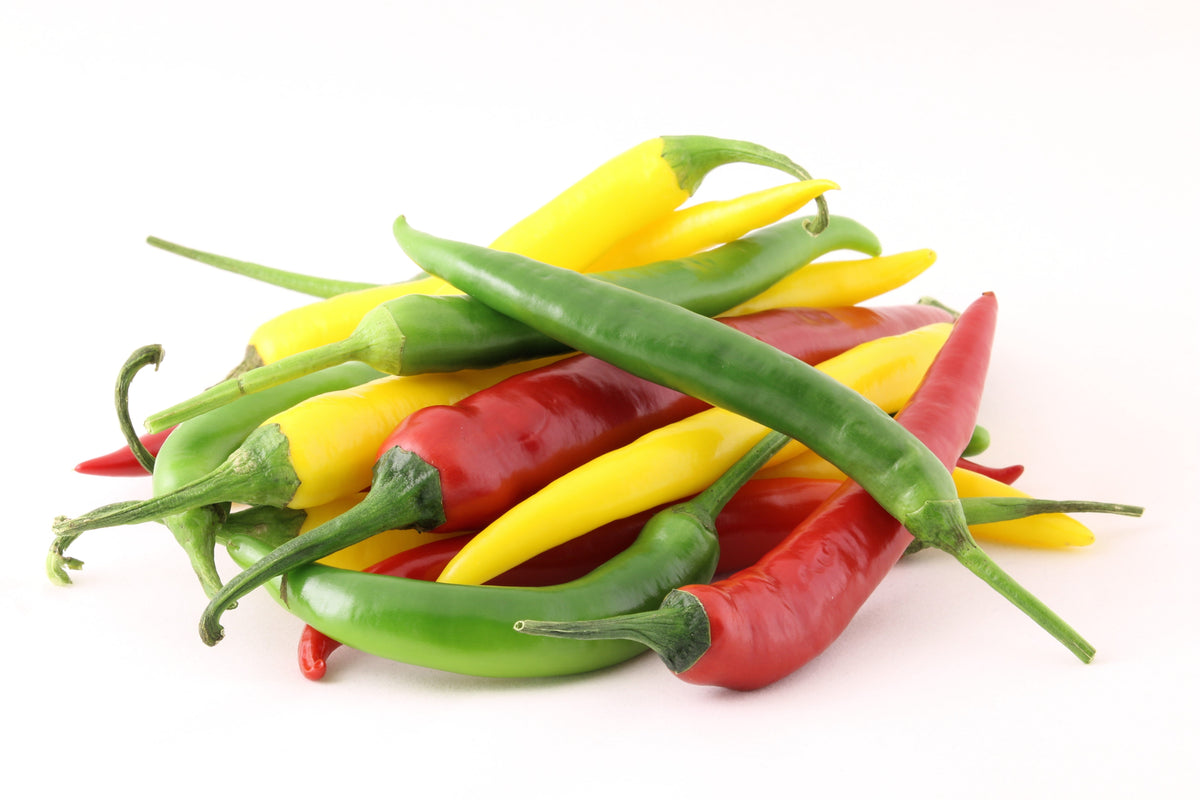 100 MIXED CAYENNE PEPPER Hot Yellow Purple Orange Red Green Capsicum Vegetable Seeds