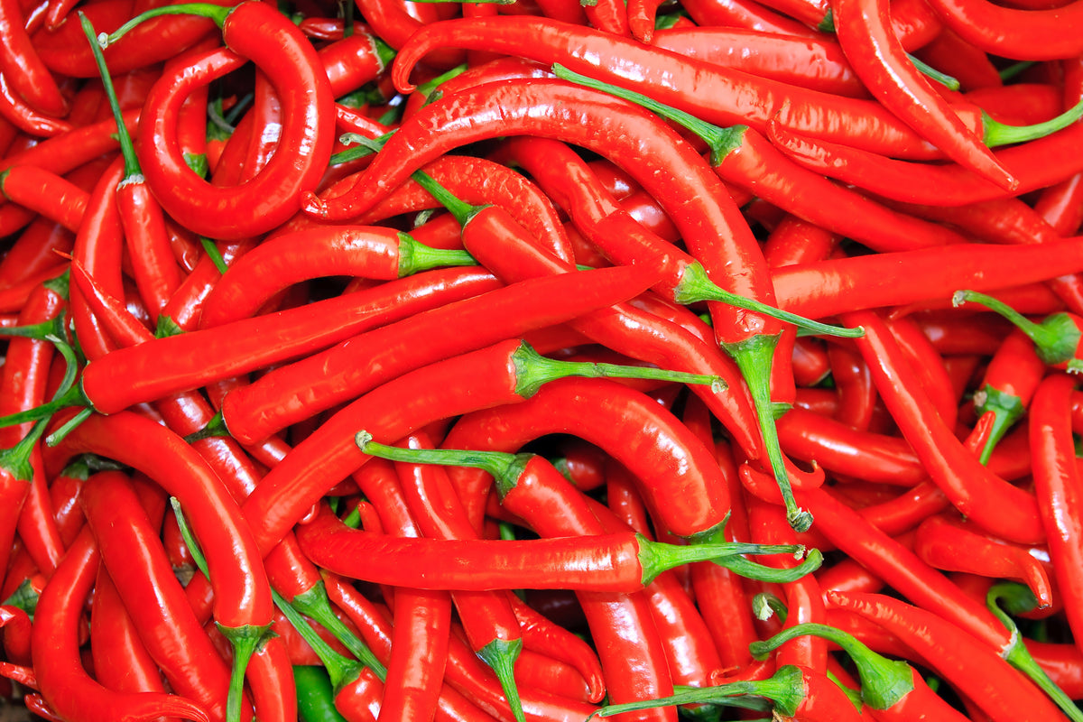300 LONG Red CAYENNE PEPPER Hot Capsicum Annuum Vegetable Seeds