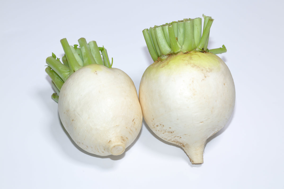 3000 SHOGOIN TURNIP White Japanese Brassica Rapa Root & Greens Vegetable Seeds