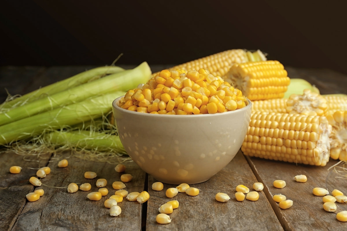 60 YELLOW CORN ' Early Xtra Sweet ' Zea Mays Vegetable Seeds