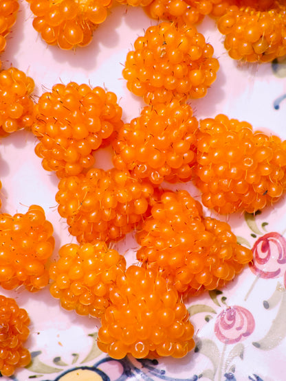 20 SALMONBERRY RUSSIAN RASPBERRY Rubus Spectabilis Fruit Seeds Purple Flowers