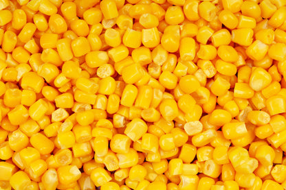 60 YELLOW CORN ' Early Xtra Sweet ' Zea Mays Vegetable Seeds