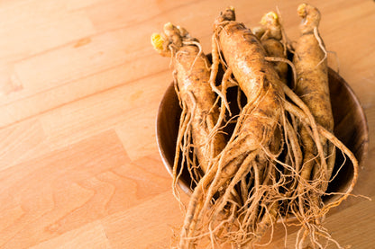 15 Asian KOREAN GINSENG Panax Shade Chinese Herb Seeds