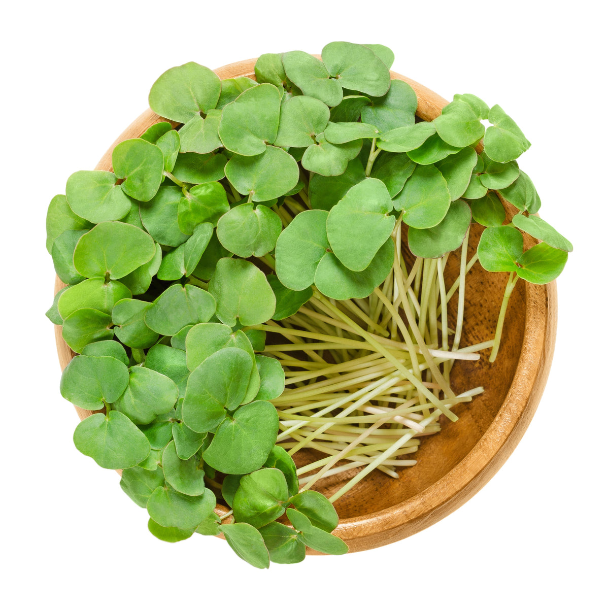 200 Organic BUCKWHEAT Fagopyrum Esculentum Grain Cover Crop Ground Cover Flower Vegetable Seeds