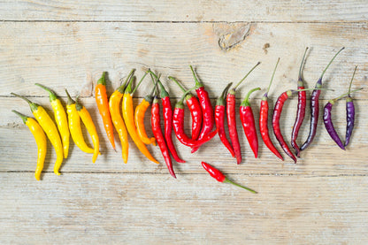 100 MIXED CAYENNE PEPPER Hot Yellow Purple Orange Red Green Capsicum Vegetable Seeds