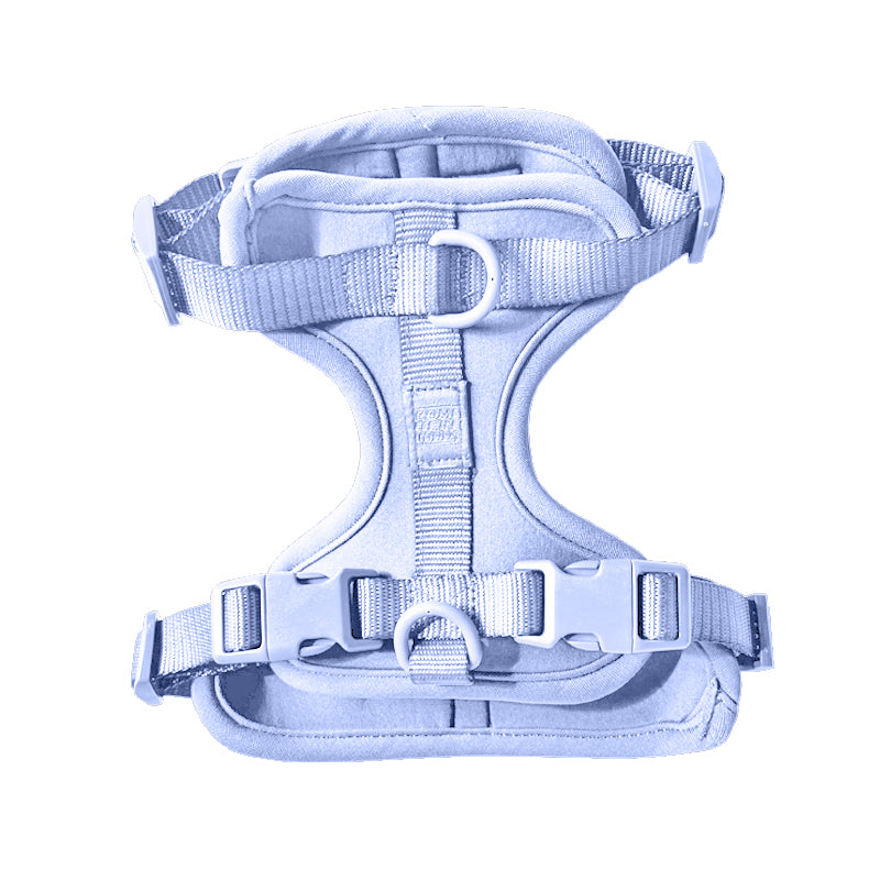 Harness