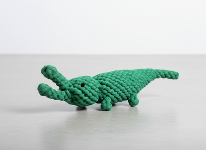Ally-The Green Alligator