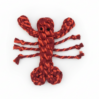 Coral Pop Lobster Pet Toy | Thicker and Stronger
