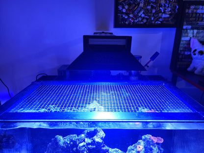 PopBloom RL90 & RS90 Light Shade