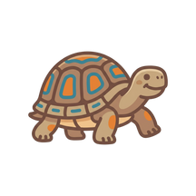 Tortoise Supplies, Food & Care Guides
