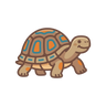 Tortoise
