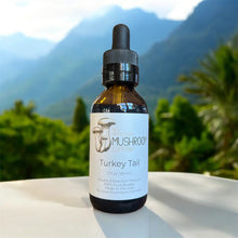 Turkey Tail Tincture- Immune, Gut & Cellular Health