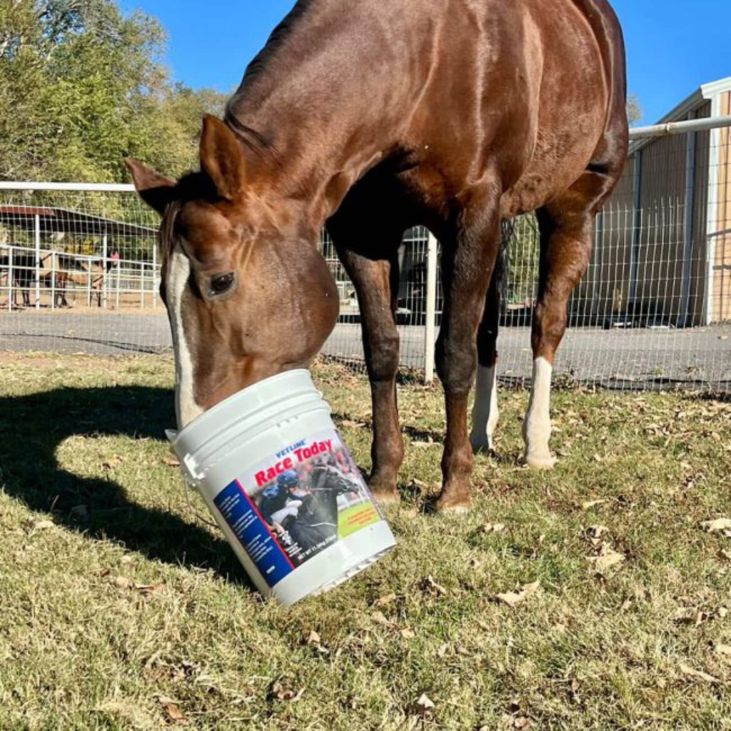 Vetline Race Today Respiratory Support Powder for Horses