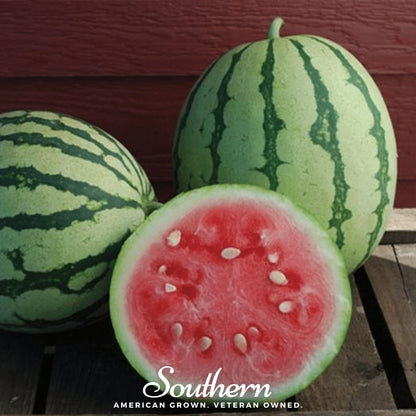Dixie Queen Watermelon – 25 Seeds
