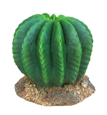Weco Wecorama Badlands Golden Barrel Cactus