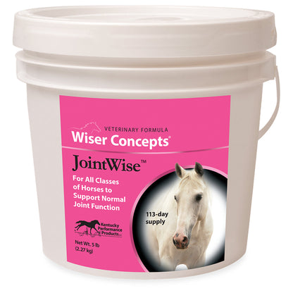 Wiser Concepts JointWise Joint Support for Horses