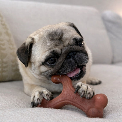 Nylabone Strong Chew Wishbone Dog Chew Toy Bacon Small